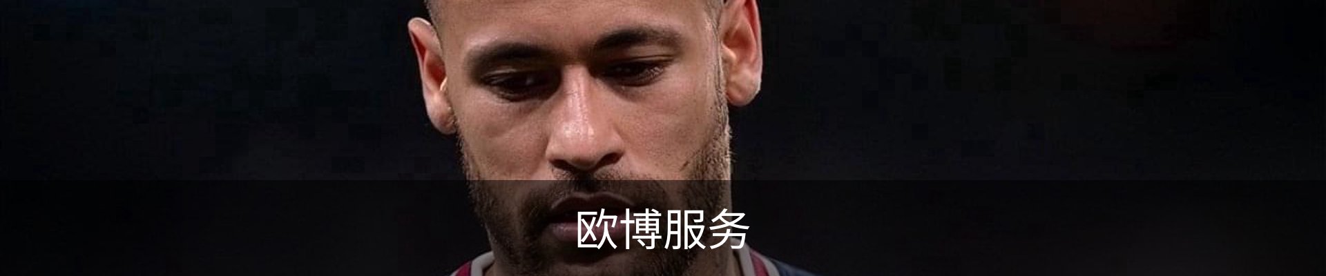 欧博服务